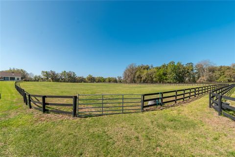 Tiny photo for 8785 NW 63rd Street, Ocala, FL 34482 (MLS # OM719570)