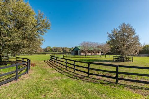 Tiny photo for 8785 NW 63rd Street, Ocala, FL 34482 (MLS # OM719570)