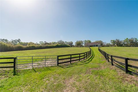 Tiny photo for 8785 NW 63rd Street, Ocala, FL 34482 (MLS # OM719570)
