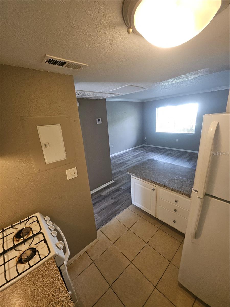 WATERSIDE AT CRANES ROOST A CONDO COMMUNITY - Residential