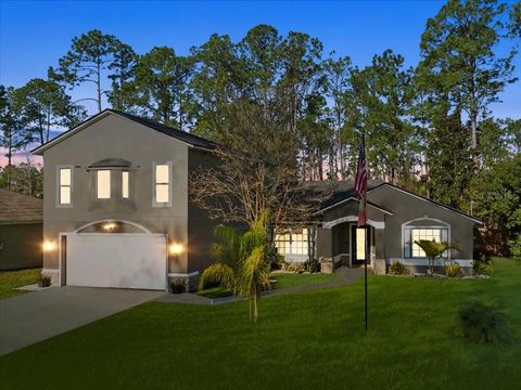 A home in PALM COAST