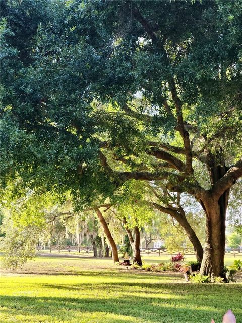 Tiny photo for 21289 County Road 455, Clermont, FL 34715 (MLS # G5110919)