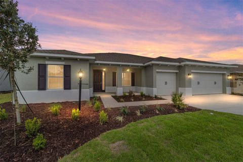 10007 SW 106TH CIRCLE OCALA FL 34481