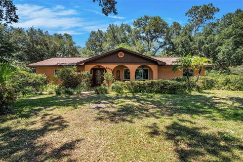 1625 ITCHEPACKESASSA DRIVE LAKELAND FL 33810