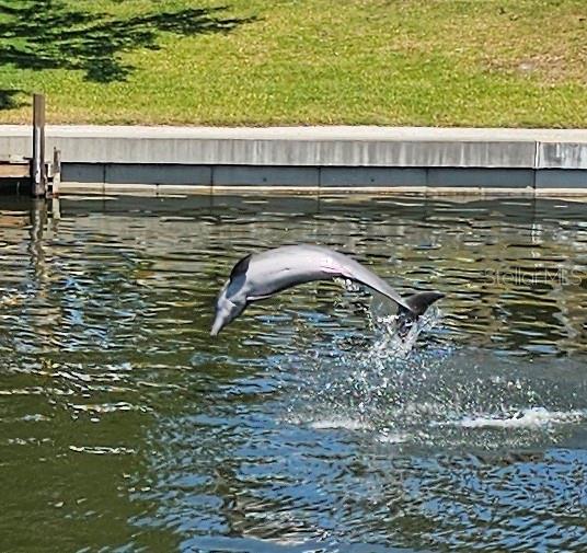 4 WINDSOR DRIVE, ENGLEWOOD, FL, 34223 1 4 WINDSOR DRIVE