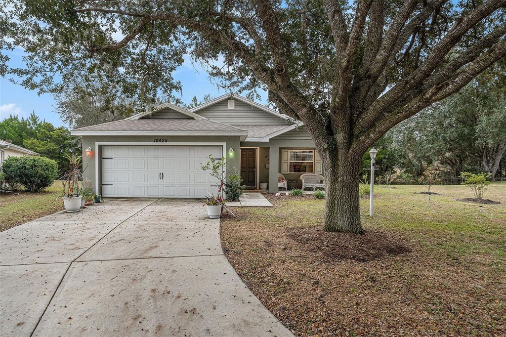 Photo of 10425 S Drew Bryant Circle, Floral City, FL 34436 (MLS # TB8455682)