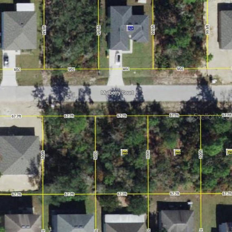 Here are 4 lots together and ready for savvy investor or builder.  The lots already have water and are all side by side to make building a breeze.  New or new homes already on street.  Great opportunity.  

Lots available together are 406, 408, 410, and 412 Mulberry Court.

Poinciana has so many amenities for the very low hoa fee of $30.00 month.  Multiple parks, pools, fitness center, trails, sports courts, nearby shopping, nearby to Disney, and so much more to appreciate.