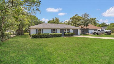 250 HICKORY AVENUE ORANGE CITY FL 32763