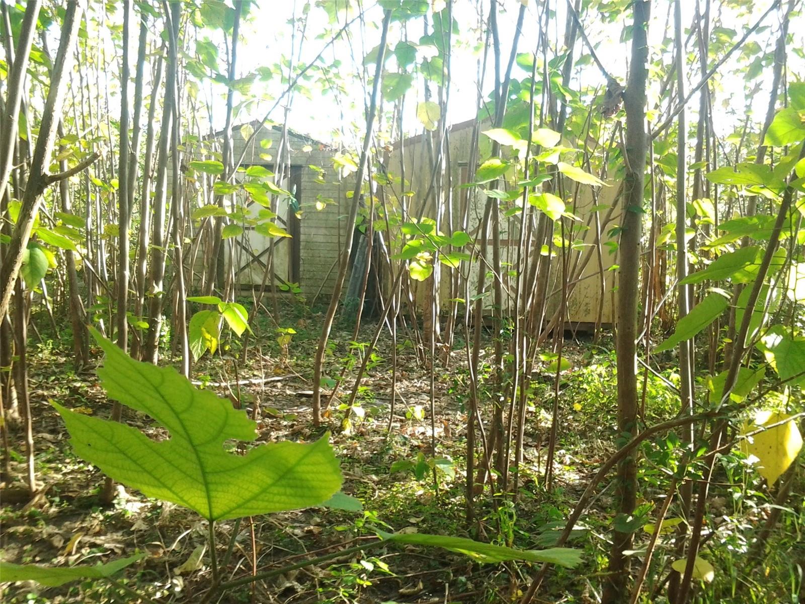 PLAT BOOK - Residential