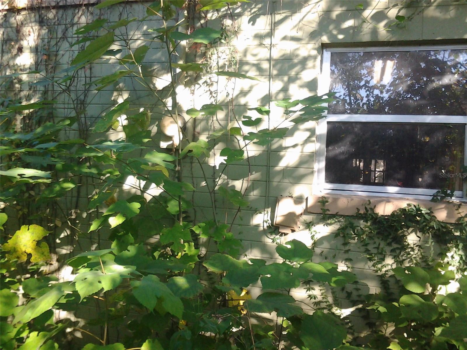 PLAT BOOK - Residential