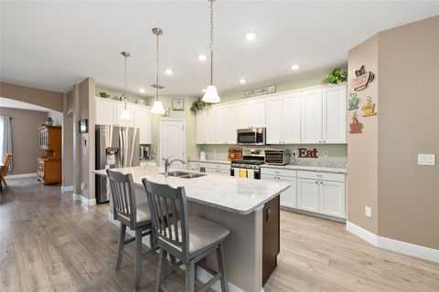Tiny photo for 4258 James River Circle, Leesburg, FL 34748 (MLS # G5111521)