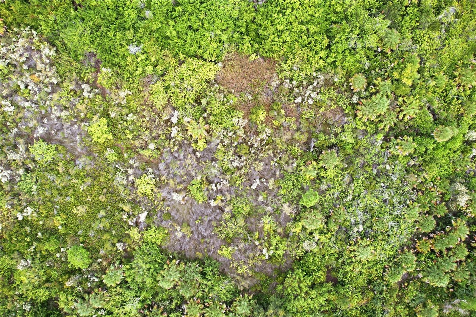 PORT CHARLOTTE SEC 069 - Land