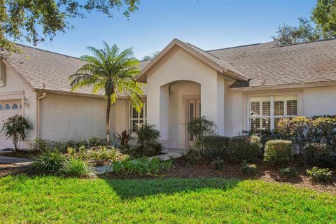 A home in WESLEY CHAPEL