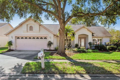 A home in WESLEY CHAPEL