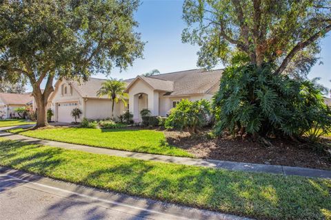 A home in WESLEY CHAPEL