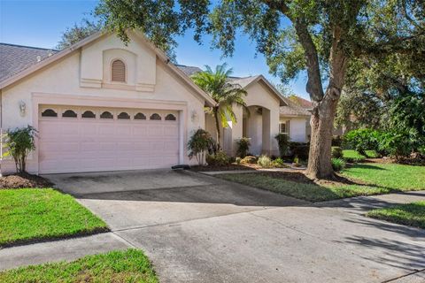 A home in WESLEY CHAPEL