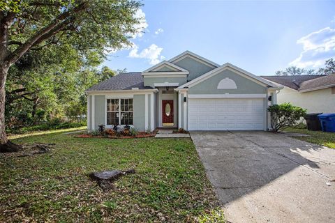 A home in TAMPA