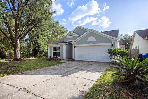 A home in TAMPA