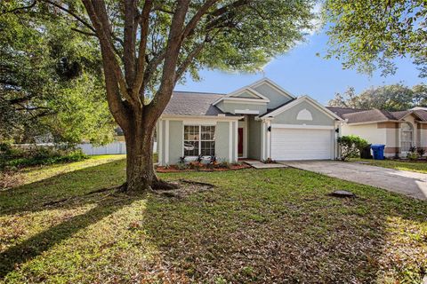 A home in TAMPA