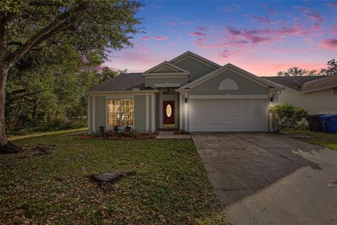 A home in TAMPA