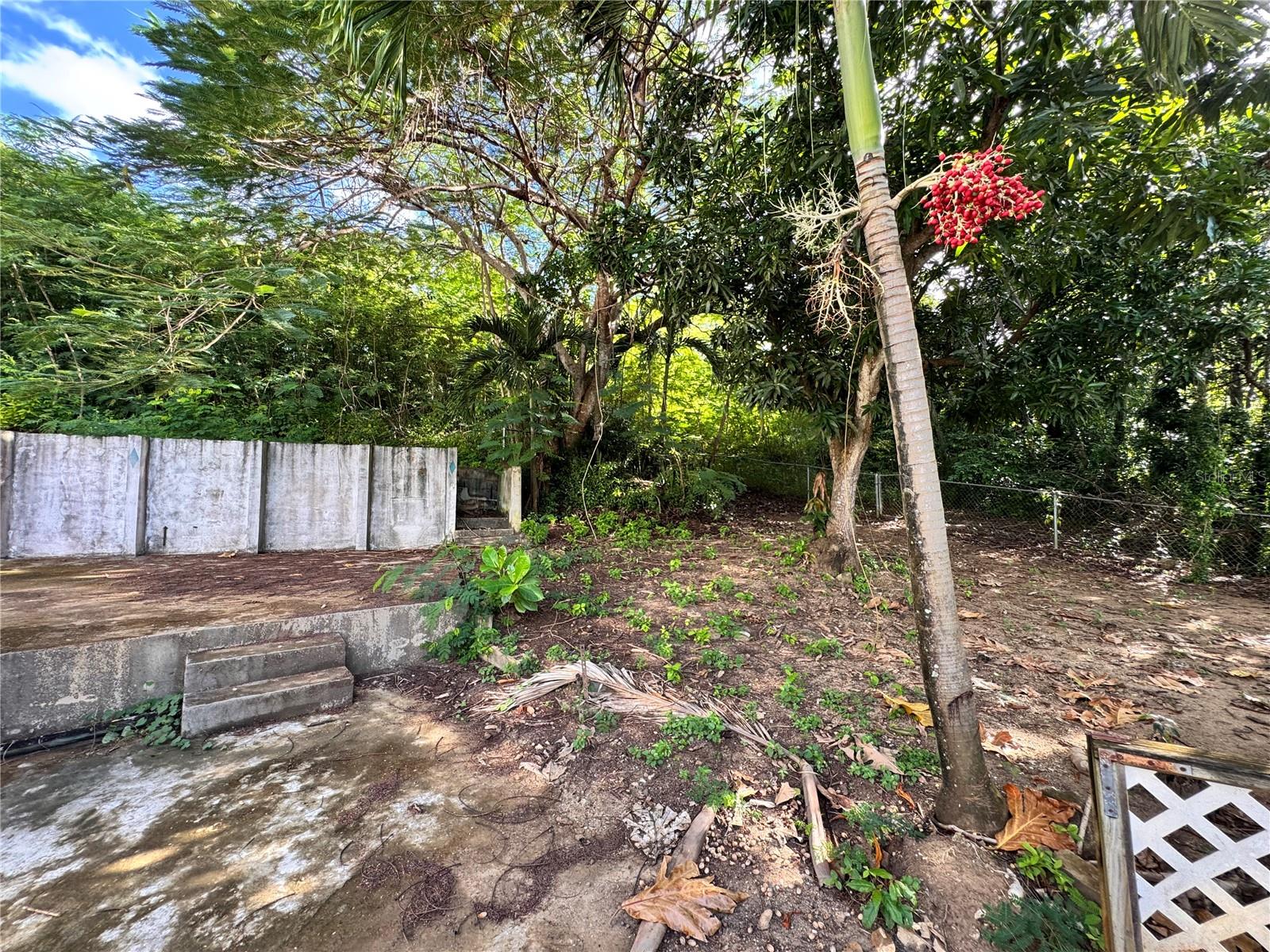 PUERTO FERRO - Residential