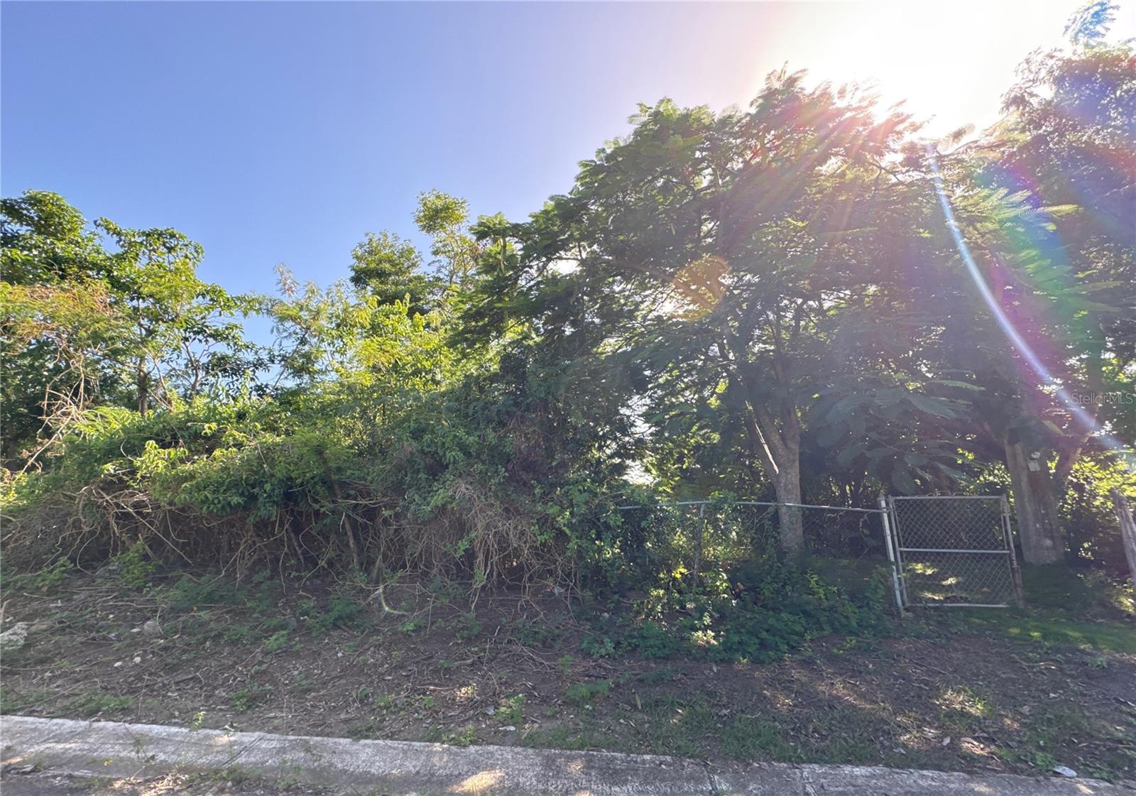 PUERTO FERRO - Residential