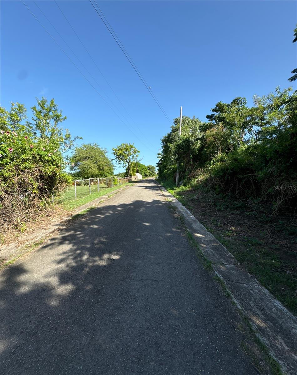 PUERTO FERRO - Residential