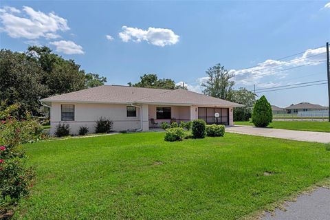 Photo of 250 W Thistle Place, Beverly Hills, FL 34465 (MLS # W7878557)