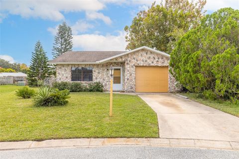 1316 POINT COURT PORT ORANGE FL 32127