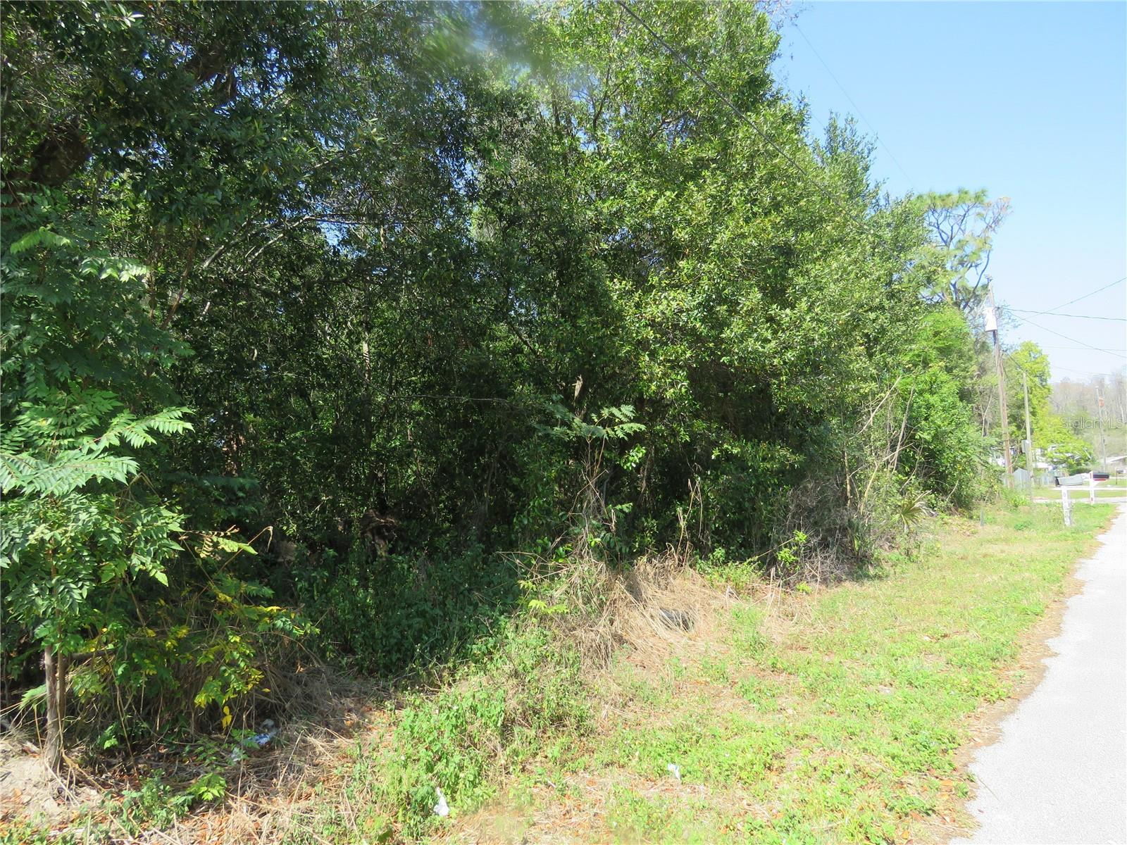 MOON LAKE ESTATES - Land