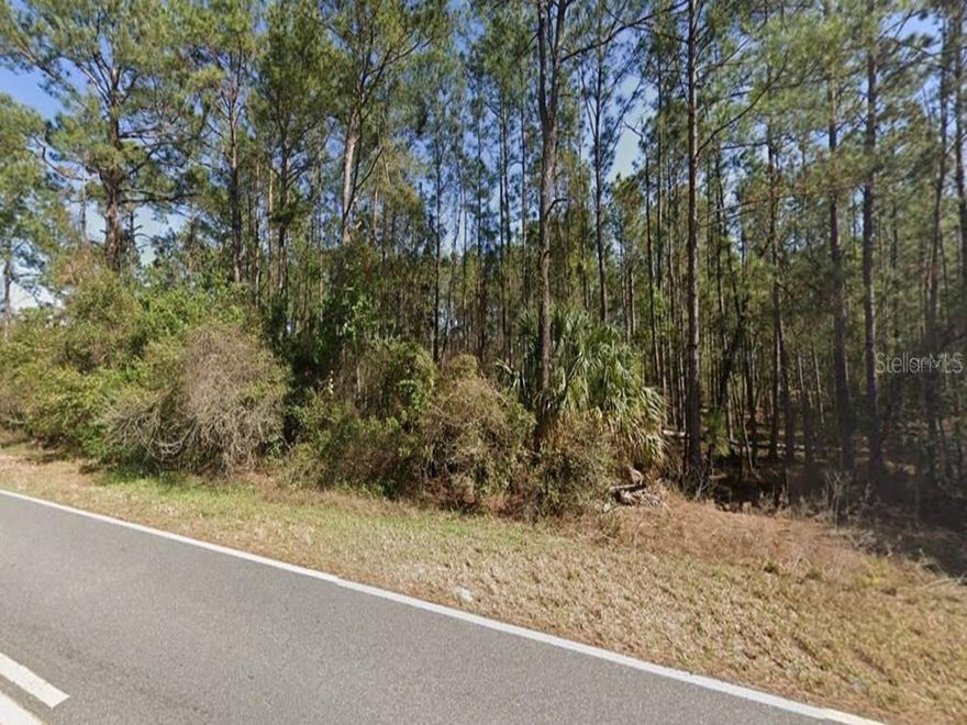 A bit over an acre lot in the community of Royal Trails Equestrian Community in Eustis. Fl. The location on SR 44 is mid-way between Mt Dora and Deland, but once you are at Royal Trails you have several miles of paved road for walking, running, riding you bike or your Horse, which are allowed. In fact, the Florida National Scenic trail runs right through the Community. The Community offers access to Lake Norris for fishing, canoe or kayaking. Last but not least is a community private park with pavilion and playground available only to the owners. The minimum square footage for a home is 1200 sq. ft. There is no minimum time to begin building and you can choose your own builder (https://www.100floridatrails.com/eco-biking/lake-norris-conservation-area.htm). WWW.RoyalTrials.com