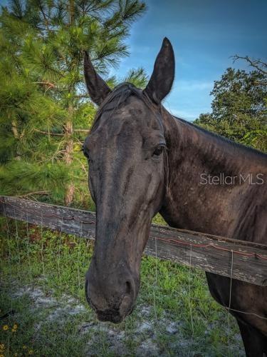 ROYAL TRAILS UNIT 01 - Land