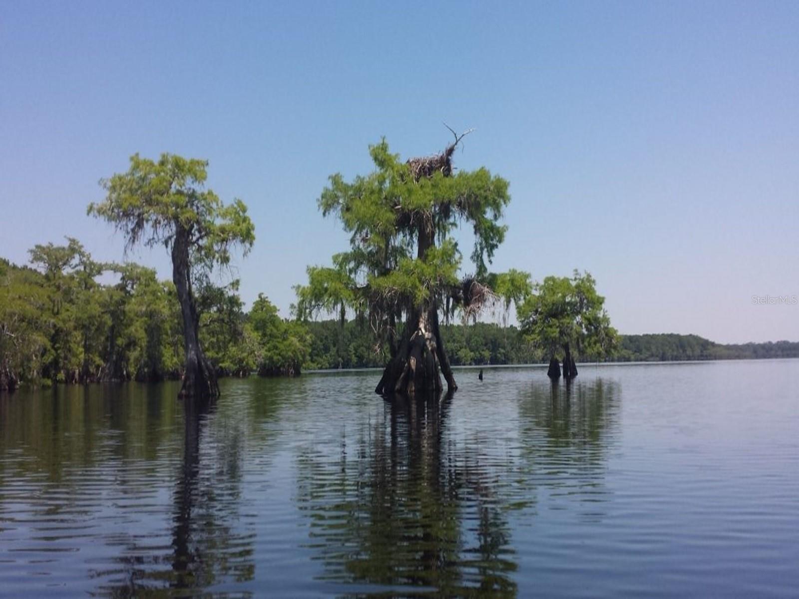 ROYAL TRAILS UNIT 01 - Land