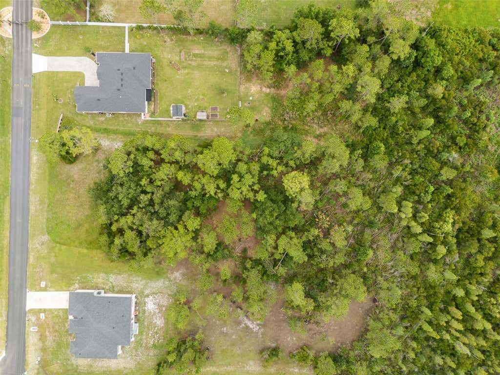 Photo of 8017 Woodleaf Boulevard, Wesley Chapel, FL 33544 (MLS # R4911453)