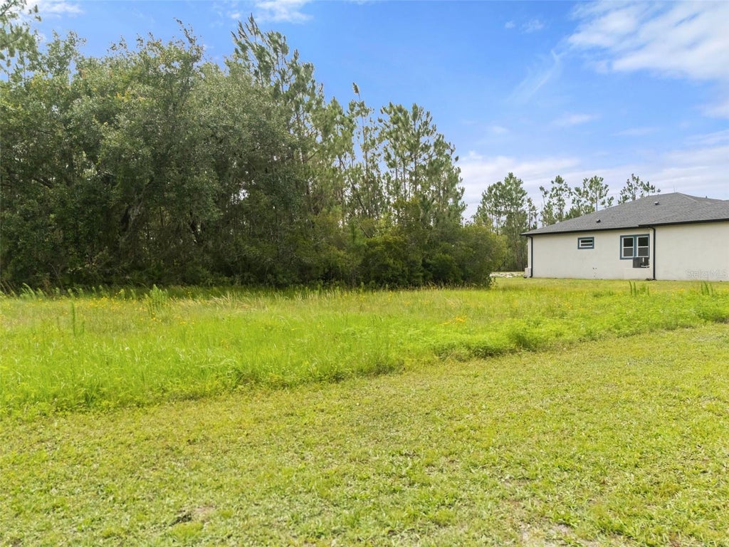 Photo of 8017 Woodleaf Boulevard, Wesley Chapel, FL 33544 (MLS # R4911453)
