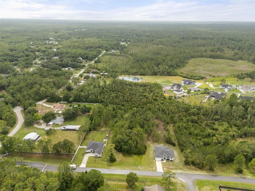 Photo of 8017 Woodleaf Boulevard, Wesley Chapel, FL 33544 (MLS # R4911453)