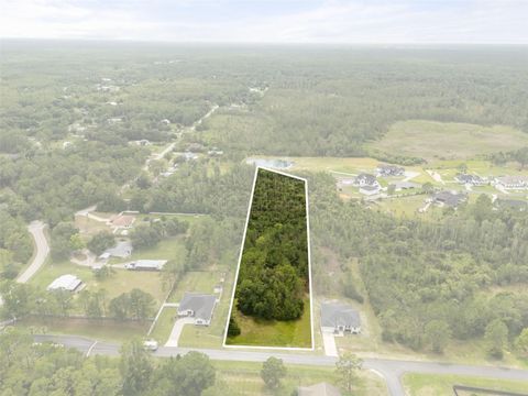 Photo of 8017 Woodleaf Boulevard, Wesley Chapel, FL 33544 (MLS # R4911453)