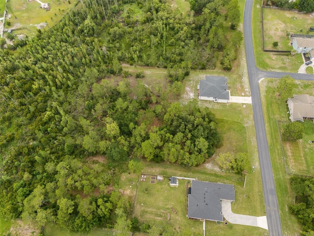 Photo of 8017 Woodleaf Boulevard, Wesley Chapel, FL 33544 (MLS # R4911453)