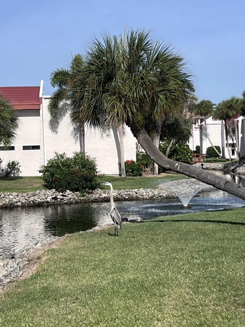 RUNAWAY BAY - Residential