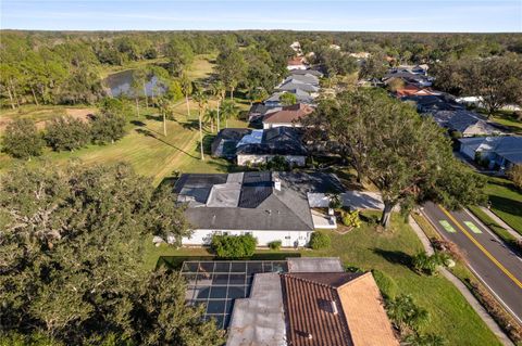 A home in TAMPA