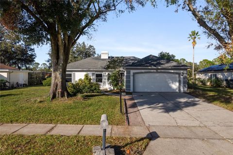 A home in TAMPA