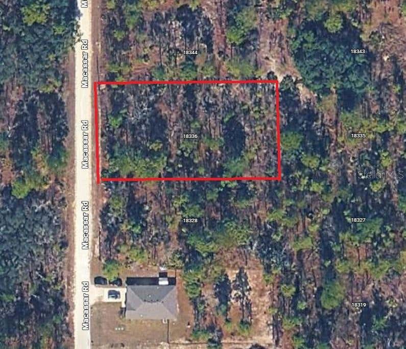 Photo of 18336 Macassar Road, Weeki Wachee, FL 34614 (MLS # TB8528033)