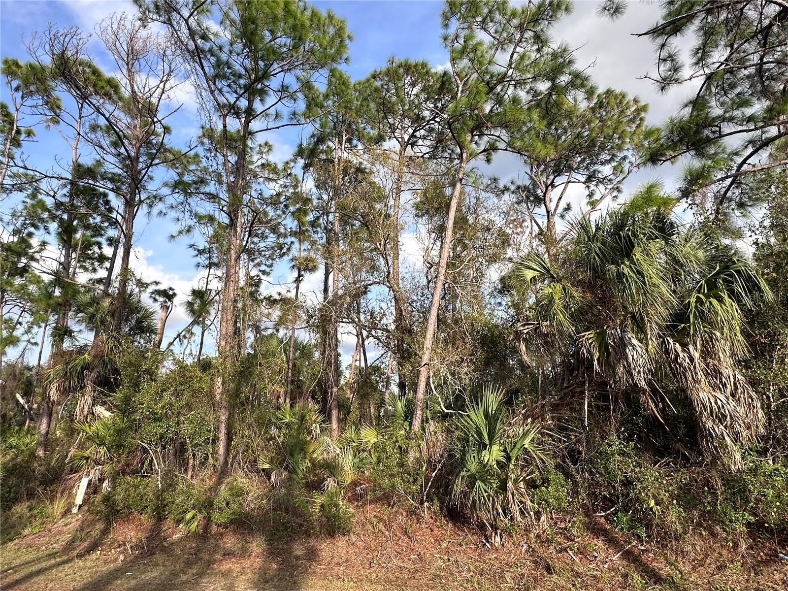 PORT CHARLOTTE SUB 18 - Land