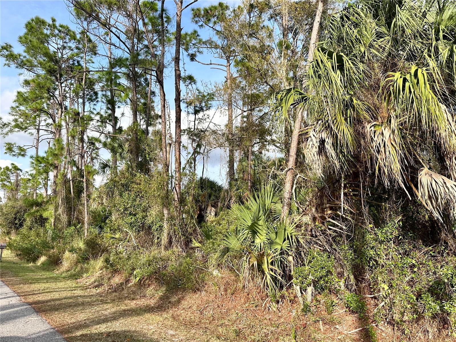 PORT CHARLOTTE SUB 18 - Land