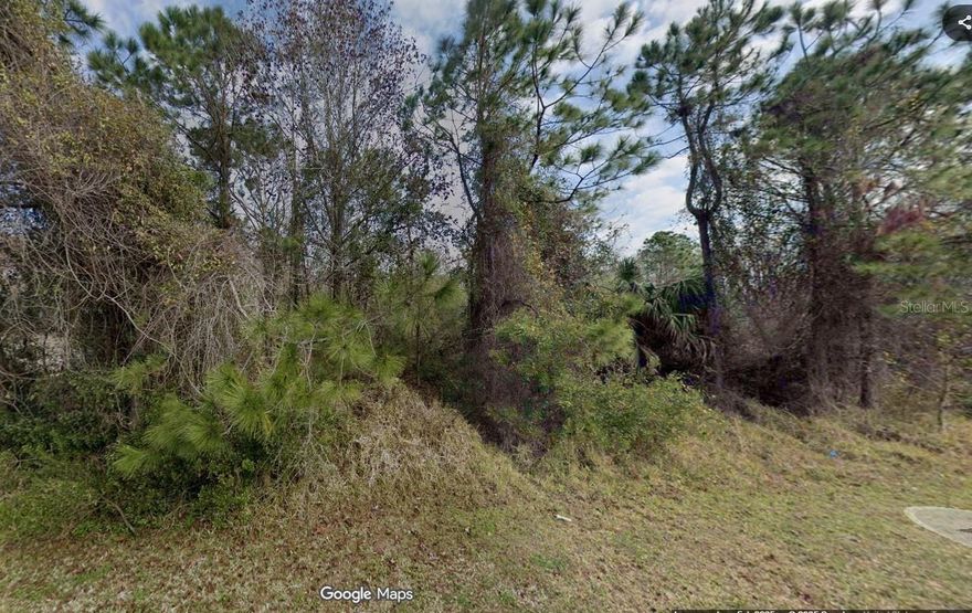 Your dream home awaits! Build on this beautiful quarter-acre lot, nestled on a quiet neighborhood in sunny Palm Coast. This is a drop lot and will require significant fill and prep to become buildable. Enjoy living just minutes from pristine beaches, top-rated golf courses, and all the shops and restaurants that make Flagler County a fantastic place to call home.