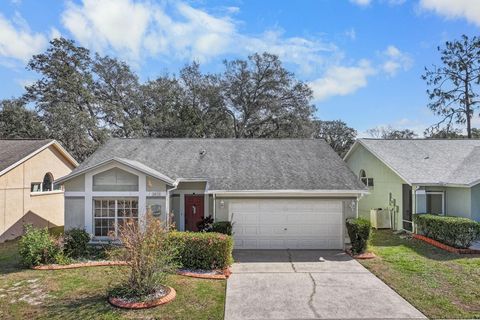 A home in VALRICO