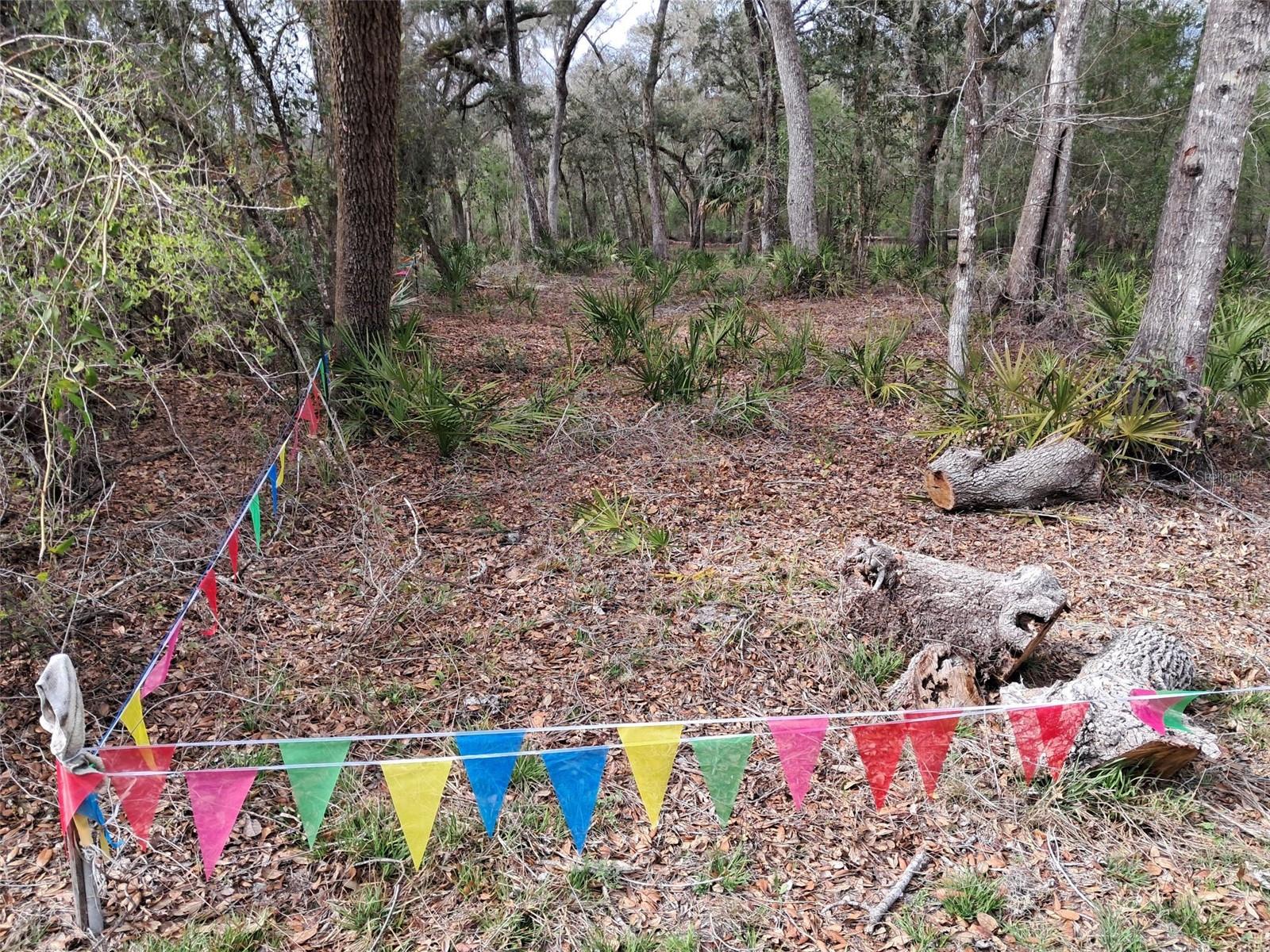 RIDGE MANOR ESTATE - Land