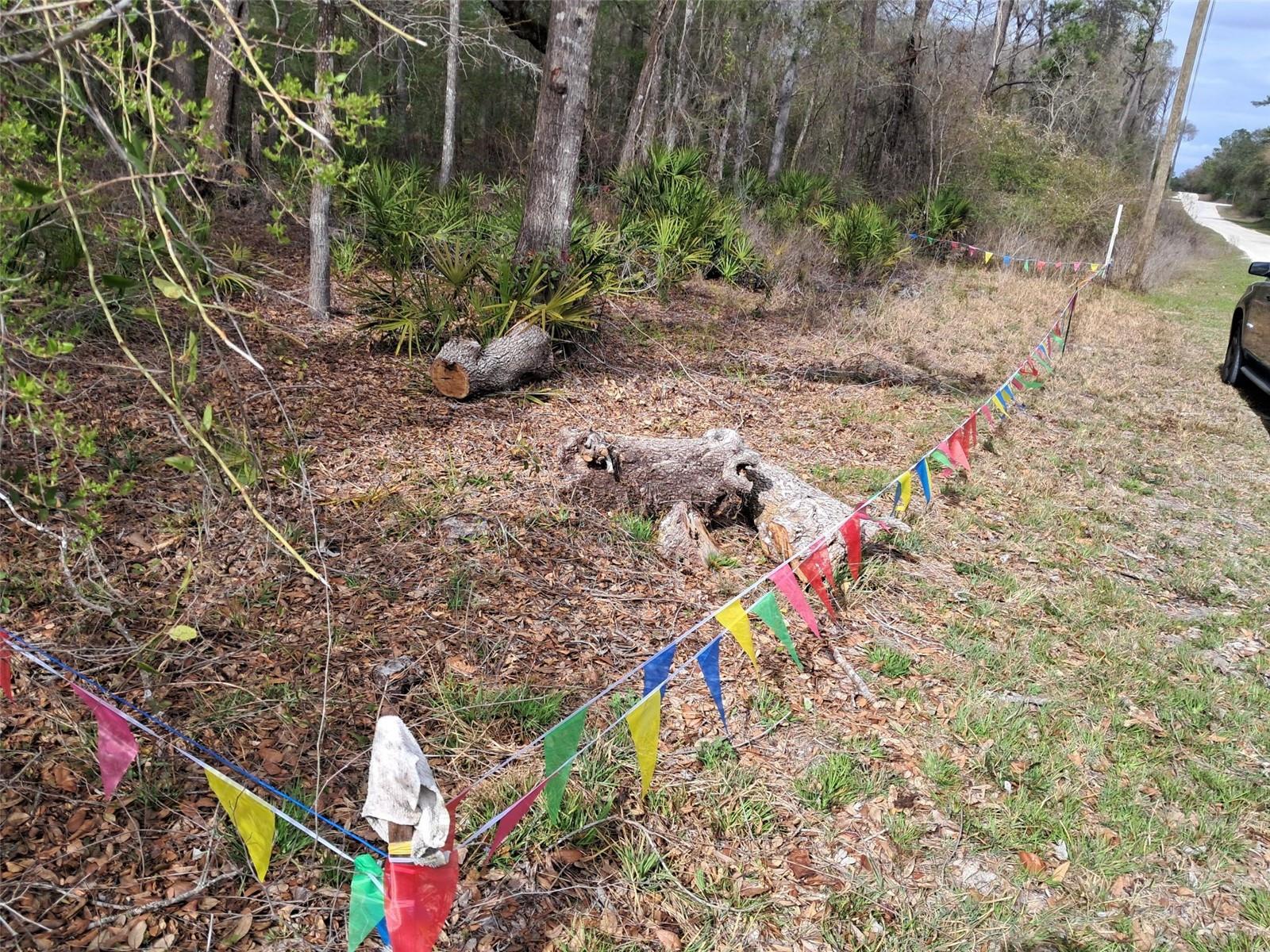 RIDGE MANOR ESTATE - Land