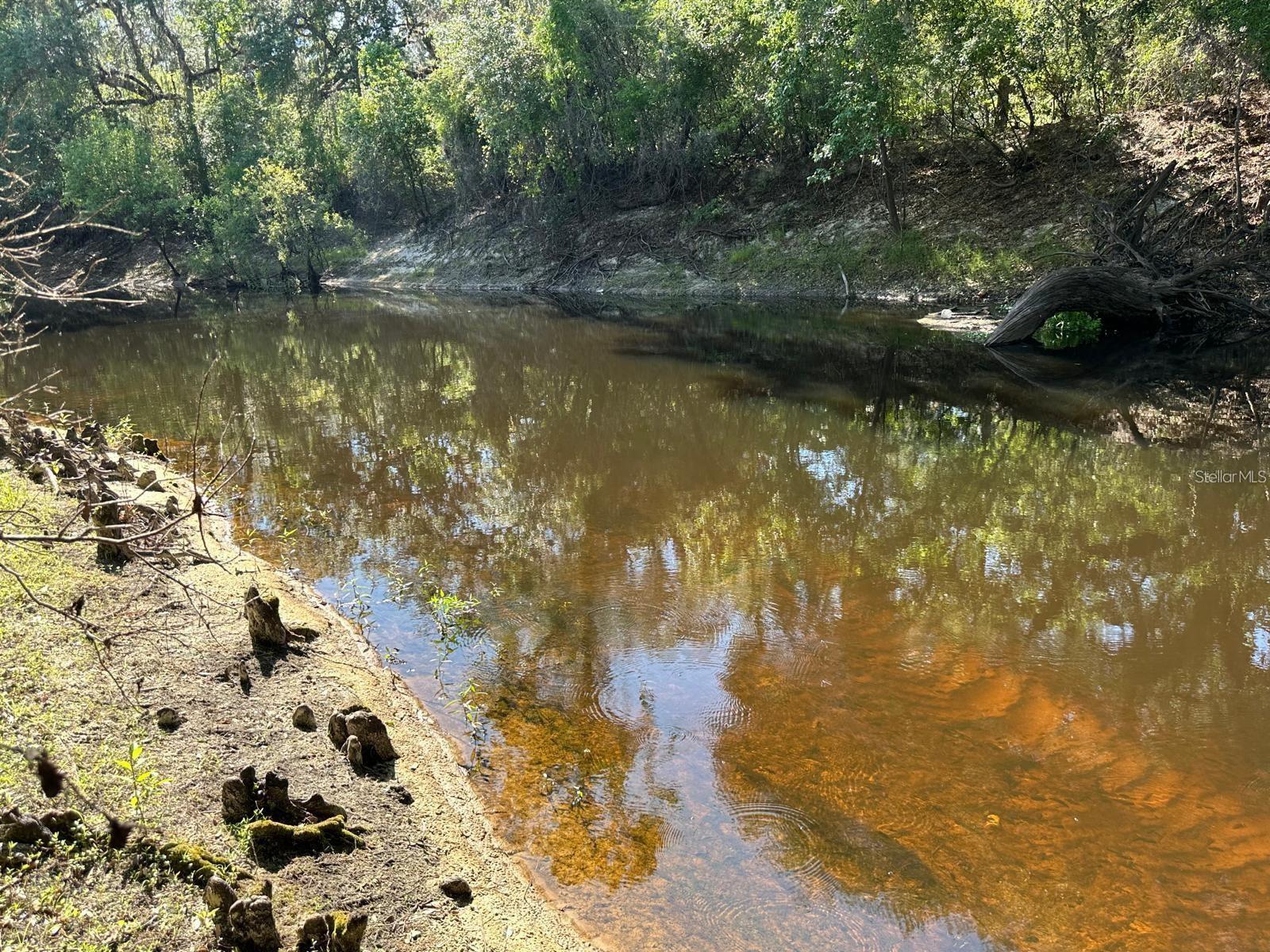 RIDGE MANOR ESTATE - Land