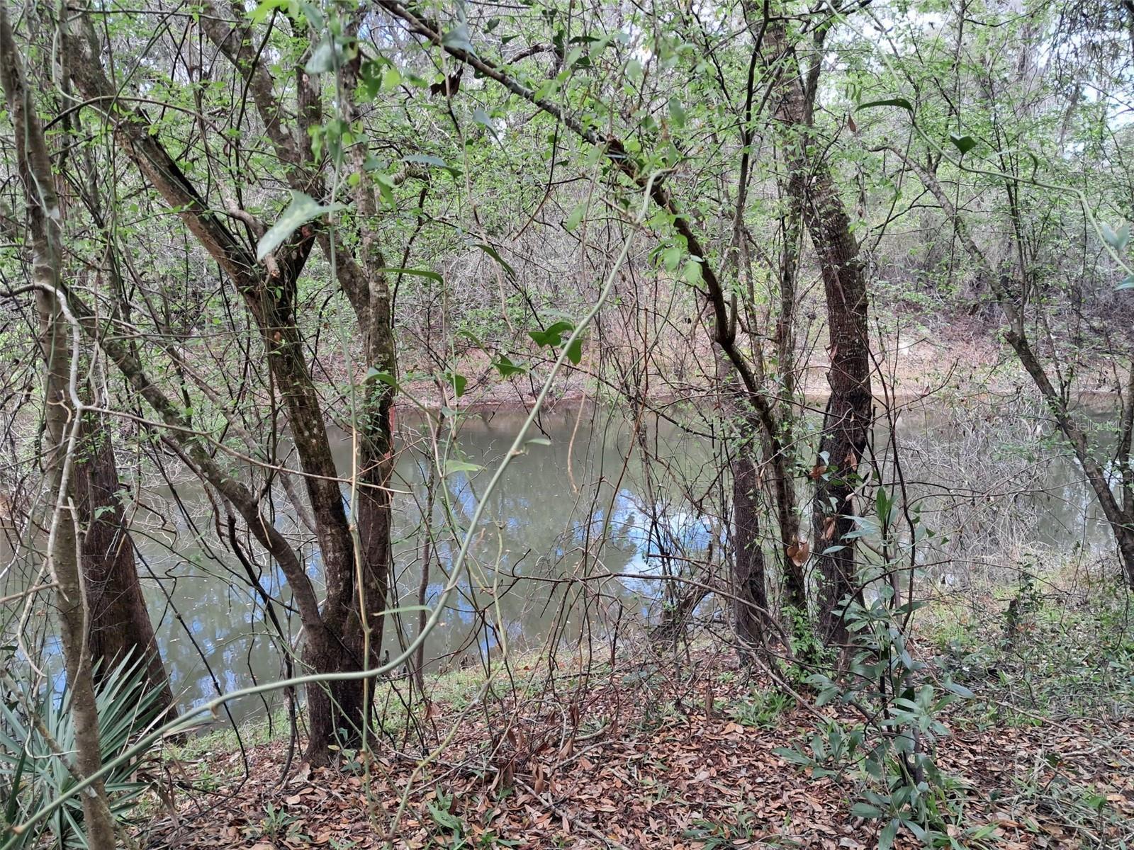 RIDGE MANOR ESTATE - Land